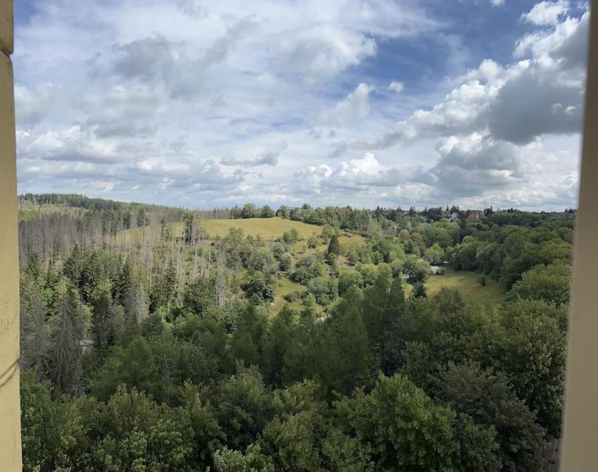 Penthouse - Panorama Suite - Hohegeiss Braunlage Buitenkant foto